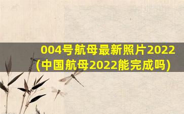 004号航母最新照片2022(中国航母2022能完成吗)