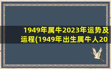 1949年属牛2023年运势及运程(1949年出生属牛人2023年运势及运程)