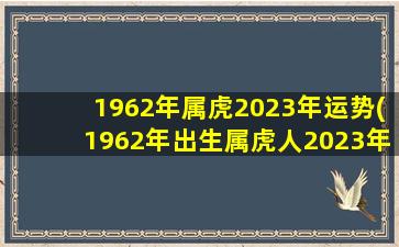 1962年属虎2023年运势(1962年出生属虎人2023年运势及运程)