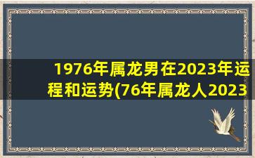 1976年属龙男在2023年运程和运势(76年属龙人2023年运势及运程)
