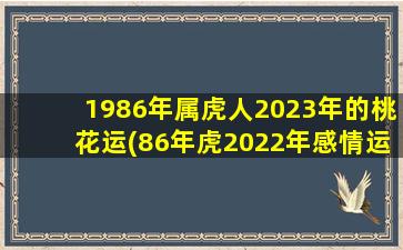 1986年属虎人2023年的桃花运(86年虎2022年感情运势,属虎2023年运势及运程1986年女)
