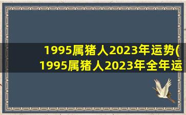 1995属猪人2023年运势(1995属猪人2023年全年运势及运程)