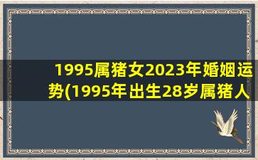 1995属猪女2023年婚姻运势(1995年出生28岁属猪人2023年婚姻走势剖析)