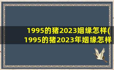 1995的猪2023姻缘怎样(1995的猪2023年姻缘怎样)
