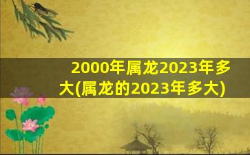 2000年属龙2023年多大(属龙的2023年多大)