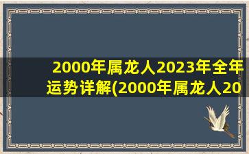 2000年属龙人2023年全年运势详解(2000年属龙人2023年运势及运程)