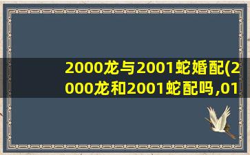 2000龙与2001蛇婚配(2000龙和2001蛇配吗,01年男蛇和00年女龙婚配)