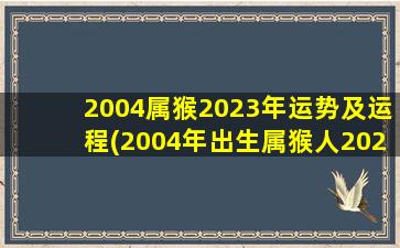 2004属猴2023年运势及运程(2004年出生属猴人2023年运势及运程)