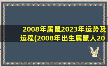 2008年属鼠2023年运势及运程(2008年出生属鼠人2023年运势及运程)