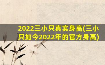 2022三小只真实身高(三小只如今2022年的官方身高)