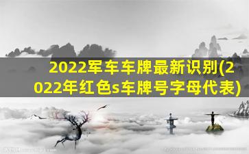 2022军车车牌最新识别(2022年红色s车牌号字母代表)