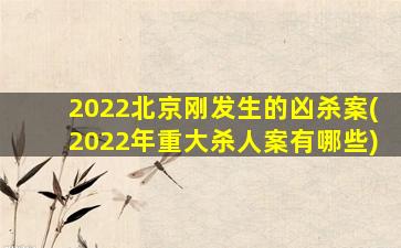 2022北京刚发生的凶杀案(2022年重大杀人案有哪些)