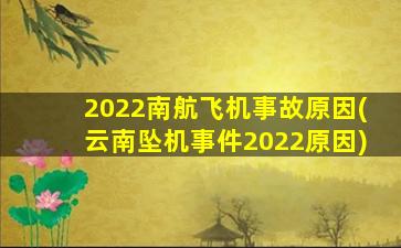 2022南航飞机事故原因(云南坠机事件2022原因)