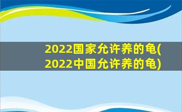 2022国家允许养的龟(2022中国允许养的龟)