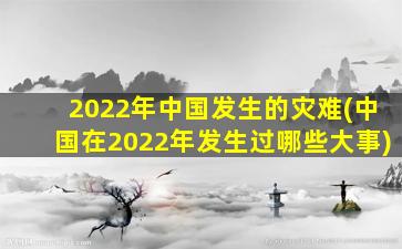 2022年中国发生的灾难(中国在2022年发生过哪些大事)