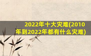 2022年十大灾难(2010年到2022年都有什么灾难)