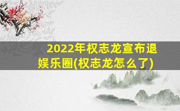 2022年权志龙宣布退娱乐圈(权志龙怎么了)