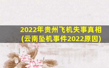 2022年贵州飞机失事真相(云南坠机事件2022原因)