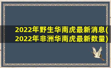 2022年野生华南虎最新消息(2022年非洲华南虎最新数量)