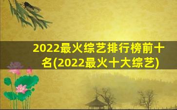 2022最火综艺排行榜前十名(2022最火十大综艺)