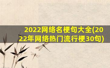 2022网络名梗句大全(2022年网络热门流行梗30句)