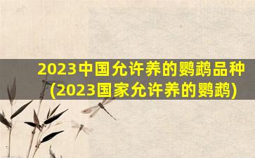 2023中国允许养的鹦鹉品种(2023国家允许养的鹦鹉)