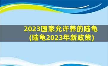 2023国家允许养的陆龟(陆龟2023年新政策)