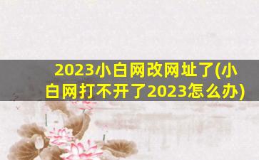 2023小白网改网址了(小白网打不开了2023怎么办)