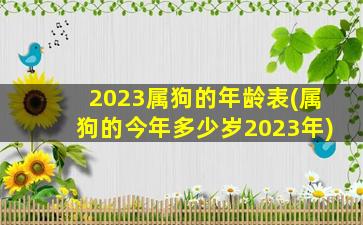 2023属狗的年龄表(属狗的今年多少岁2023年)