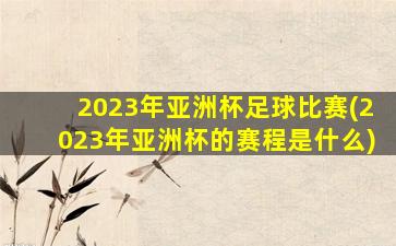 2023年亚洲杯足球比赛(2023年亚洲杯的赛程是什么)