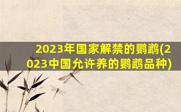 2023年国家解禁的鹦鹉(2023中国允许养的鹦鹉品种)