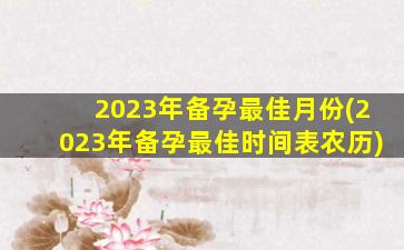 2023年备孕最佳月份(2023年备孕最佳时间表农历)