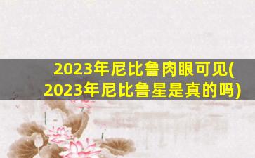 2023年尼比鲁肉眼可见(2023年尼比鲁星是真的吗)