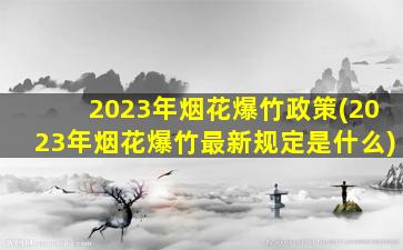 2023年烟花爆竹政策(2023年烟花爆竹最新规定是什么)