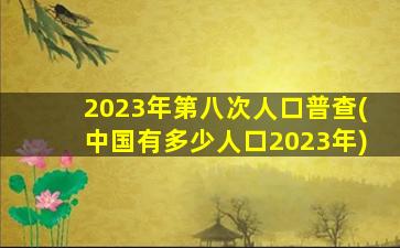 2023年第八次人口普查(中国有多少人口2023年)