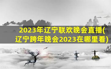 2023年辽宁联欢晚会直播(辽宁跨年晚会2023在哪里看)