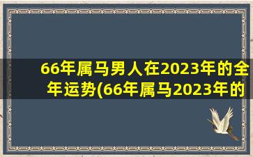 66年属马男人在2023年的全年运势(66年属马2023年的运势今年财运如何)