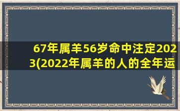 67年属羊56岁命中注定2023(2022年属羊的人的全年运势,67年属羊54岁命中注定2022年)