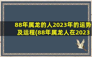 88年属龙的人2023年的运势及运程(88年属龙人在2023年的全年运势,88年龙2021年运势及运程)