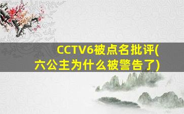 CCTV6被点名批评(六公主为什么被警告了)