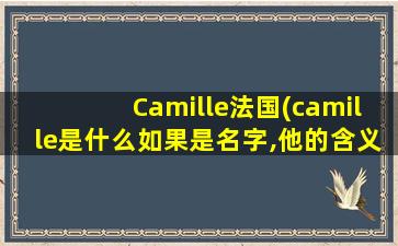 Camille法国(camille是什么如果是名字,他的含义是什么)