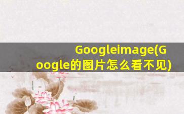 Googleimage(Google的图片怎么看不见)