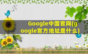 Google中国官网(google官方地址是什么)