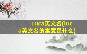 Luca英文名(luca英文名的寓意是什么)
