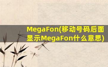 MegaFon(移动号码后面显示MegaFon什么意思)