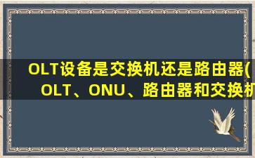 OLT设备是交换机还是路由器(OLT、ONU、路由器和交换机的区别是什么)