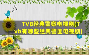 TVB经典警察电视剧(Tvb有哪些经典警匪电视剧)