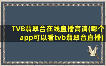 TVB翡翠台在线直播高清(哪个app可以看tvb翡翠台直播)