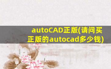 autoCAD正版(请问买正版的autocad多少钱)