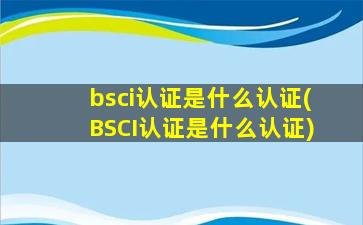 bsci认证是什么认证(BSCI认证是什么认证)